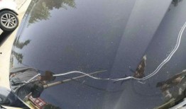 临汾汽车最新爆料,最新爆料揭示未来车型与市场趋势