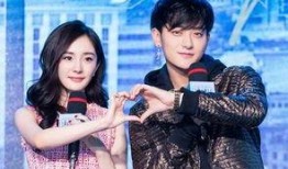 刘晶开播爆料视频大全集,揭秘视频大全集精彩瞬间